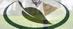 Vasada Design logo